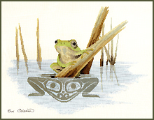 Cross Stitch FROG by Sue Coleman