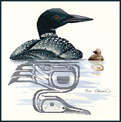 Cross Stitch LOON & CHICK by Sue Coleman