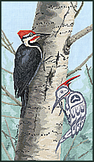 Stitch Woodpecker
